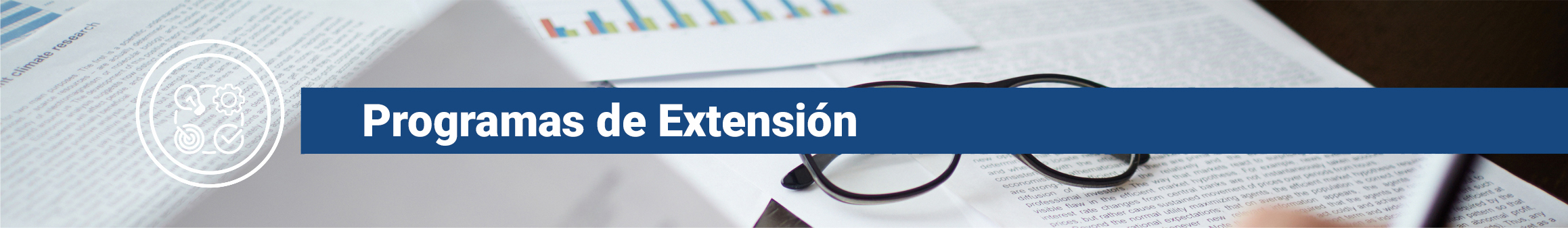 Programas de extensión